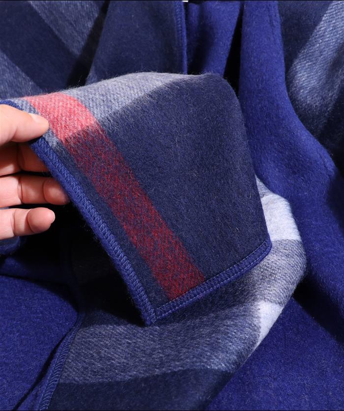 2026116111744173 100